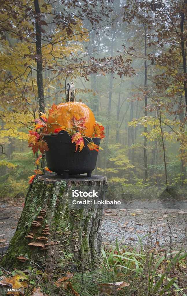 Kürbis-Stilleben auf foggy Tag - Lizenzfrei Ahornblatt Stock-Foto