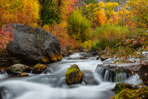 Beautiful Palisades Creek flowing over rocks in Swan Valley region of Idaho, USA on a fine autumn morning