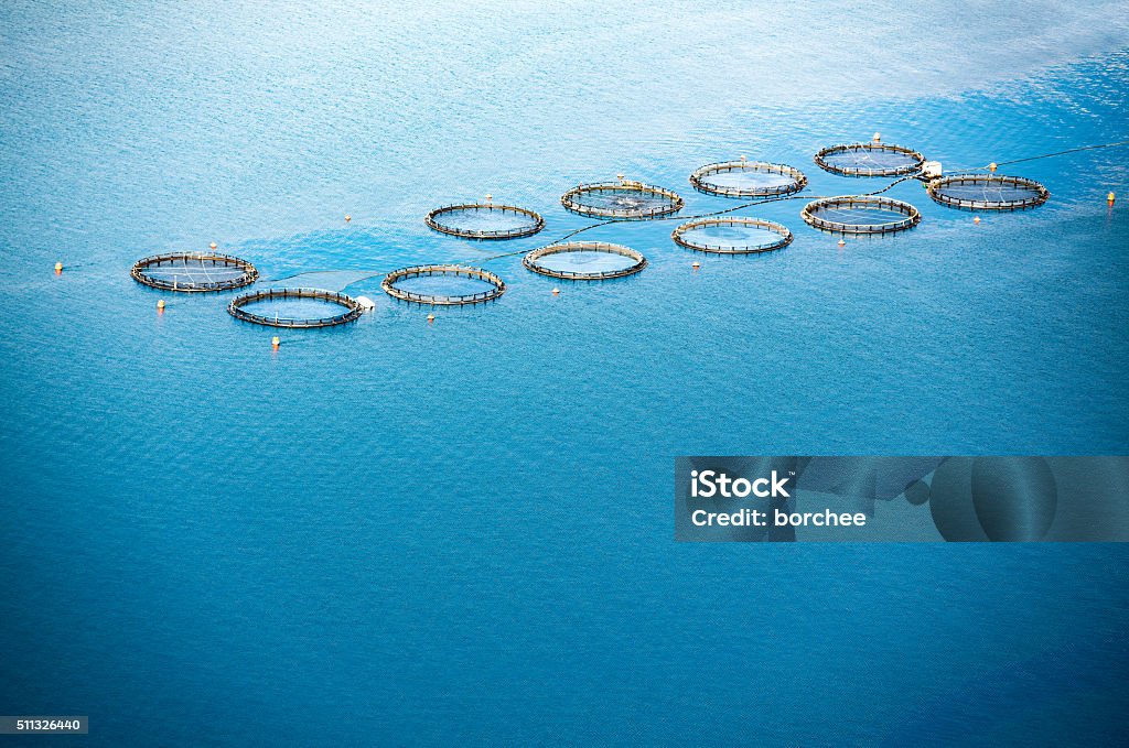 Sea Fish Farm Fish farm with floating cages on Kafelonia island (Greece). Aquaculture Stock Photo