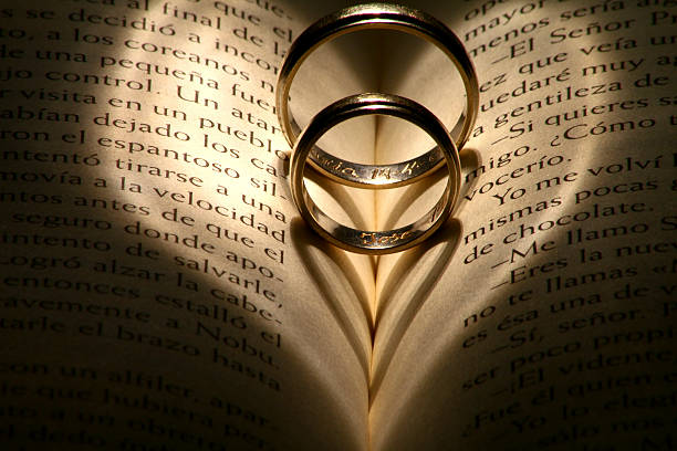 istock Love of literature 511326521