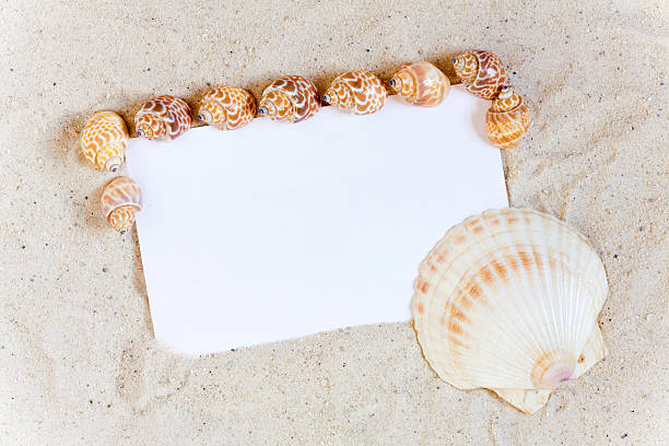 istock Background with sand and seashells around a blank white Paper 511326881