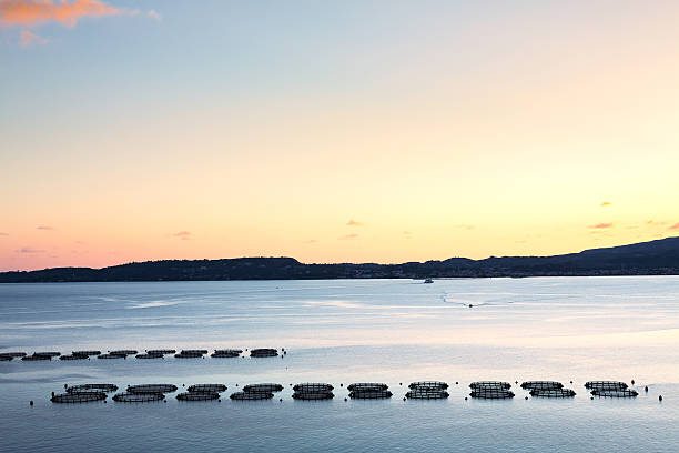 Aerial drone view of fish farming nets.