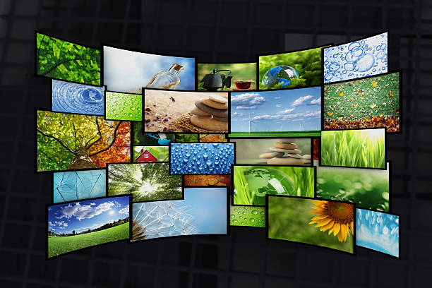 istock Collage of images 511349415