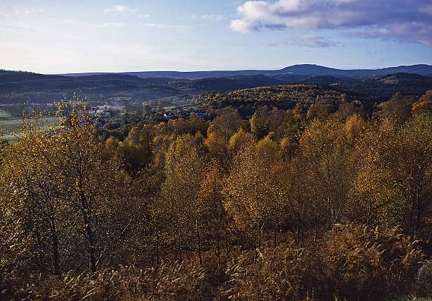 秋の aberfoyle perthshire - loch lomond loch ben lomond scotland ストックフォトと画像