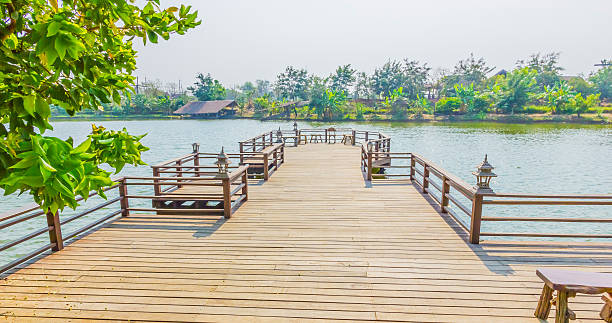 ponte e del lago. - tranquil scene colors flowing water relaxation foto e immagini stock