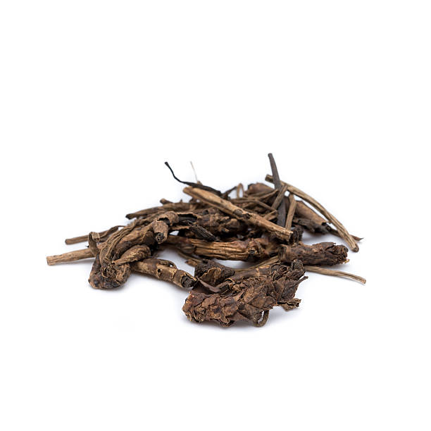istock Dried Herbs,Picrorrhiza kurroa Benth.,Veronica lindleyana Wall, 511352263