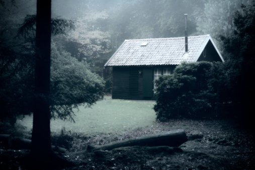 Cabin in the dark woods with blue horror atmosphere.