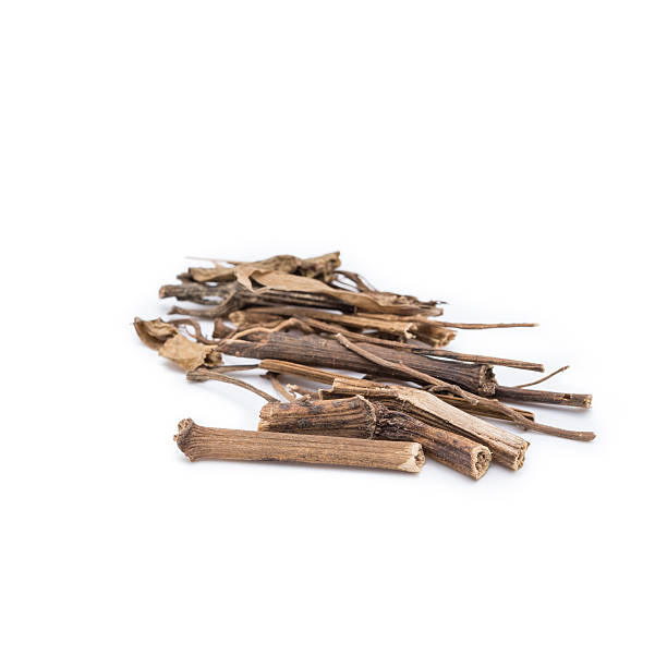 istock Dried Herbs,Piper sarmentosum  Roxb.(roots), Wildbetal Leafbush, 511354565