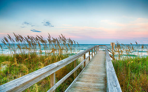 a piedi sulla spiaggia - north carolina immagine foto e immagini stock