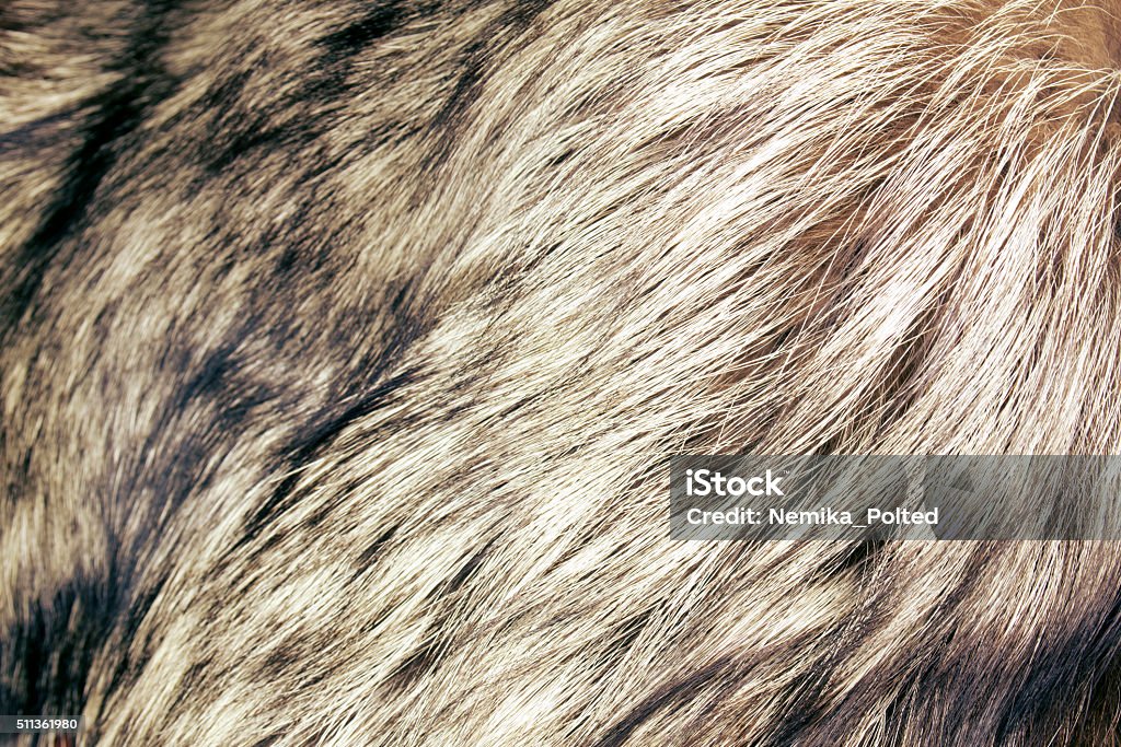 abstract fur background close up shot of abstract fur background Animal Hair Stock Photo