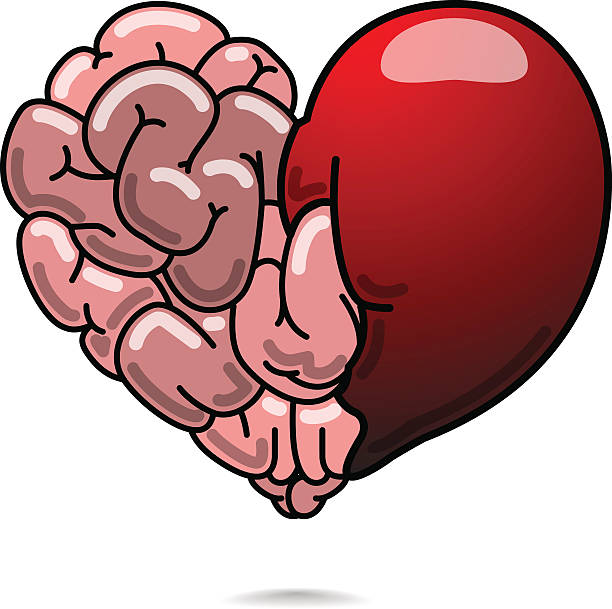 liebe und weisheit symbol - heart shape behavior human head hope stock-grafiken, -clipart, -cartoons und -symbole