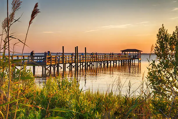 Photo of Cape Fear River