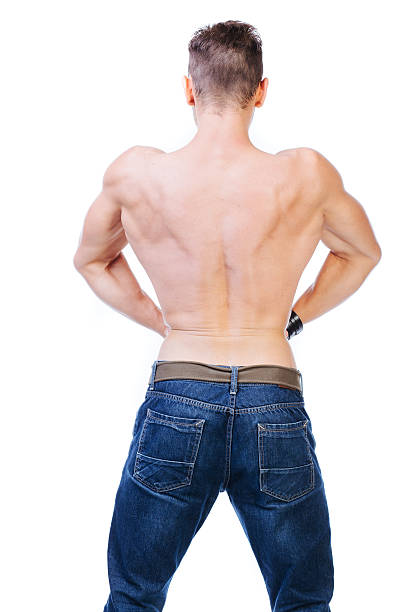 Perfect Back Shape 490+ Man Muscles Anatomy Isolated Posterior View Stock Photos, Pictures ...