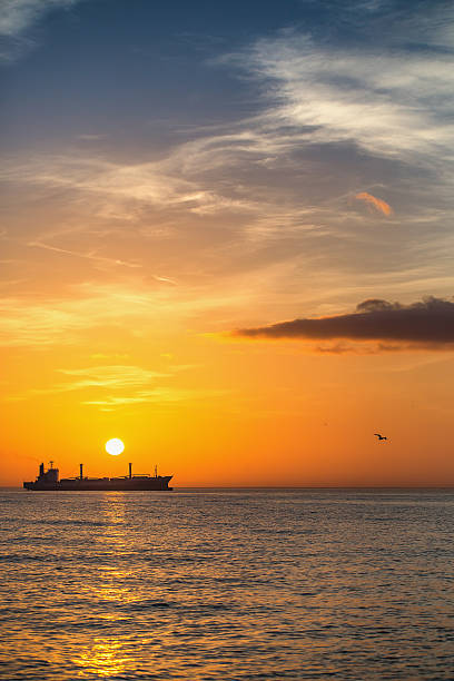 istock Cargo ship sailing on sunrise near the beach 511366766