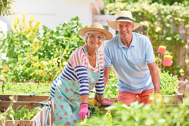 istock Happy senior couple enjoying gardening together 511367186
