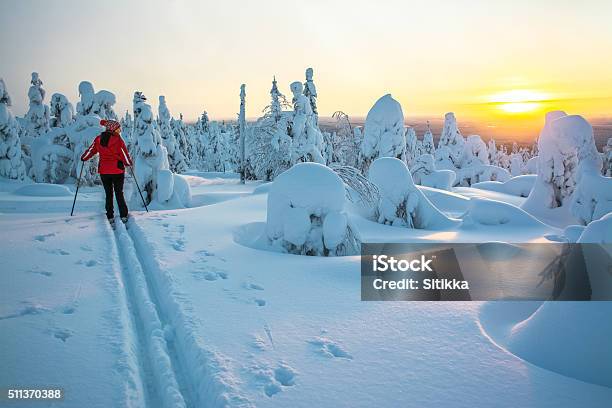 Mujer Esquí Nórdico Foto de stock y más banco de imágenes de Laponia finlandesa - Laponia finlandesa, Finlandia, Esquí - Deporte