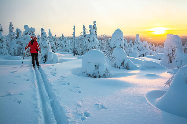 Woman cross country skiing Woman cross country skiing in Lapland Finland in sunset finnish lapland stock pictures, royalty-free photos & images