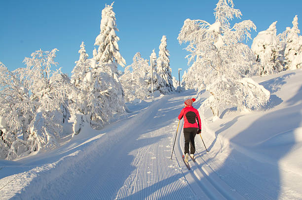 istock Woman cross country skiing 511370856