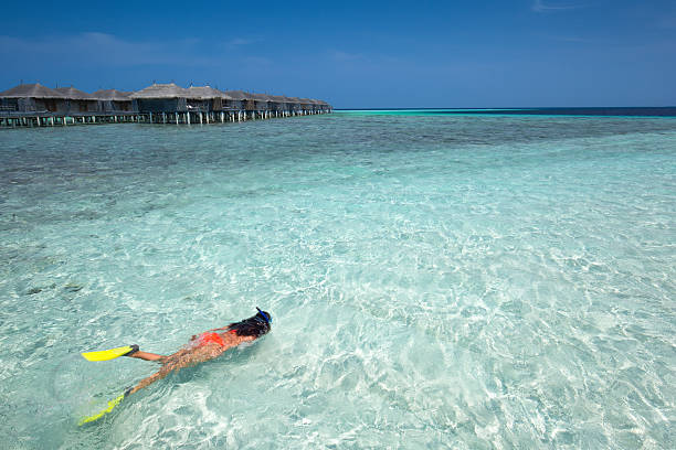 istock Woman snorkeling in the Maldives 511372414