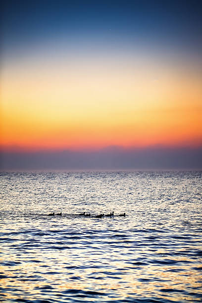 istock Beautiful sunrise over the sea 511373980