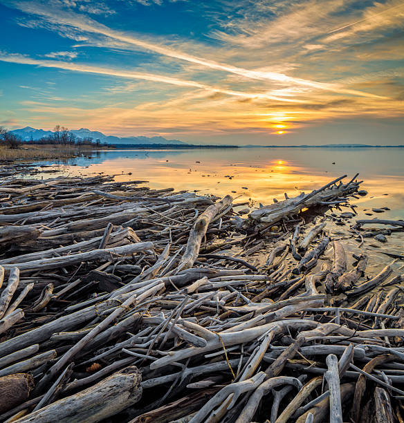 Driftwood at Sunset  - lake Chiemsee, Achendelta