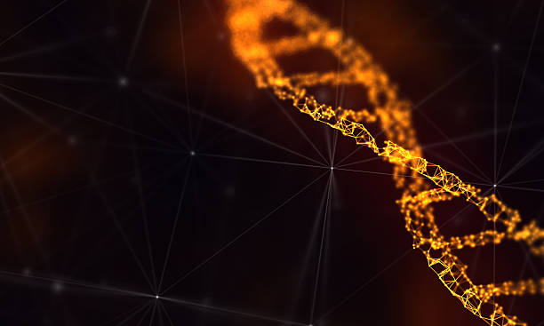 Molécule d'ADN - Photo