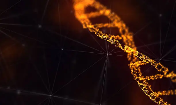 Photo of DNA molecule