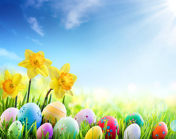 Daffodils And Colorful Eggs On Green Meadow Daffodils And Decorated Eggs On Sunny Meadow - Easter Holiday Background april photos stock pictures, royalty-free photos & images