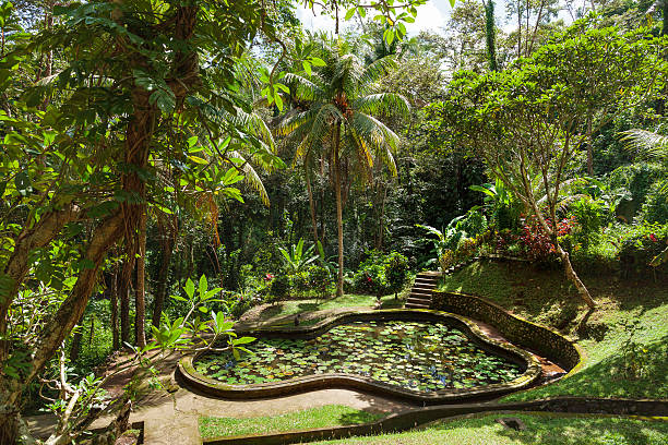 istock Pond with lotuses, Goagajah Temple (Elephant Cave Temple). Bali, Indonesia. 511384978