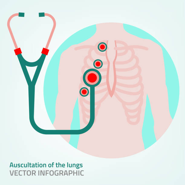 Vector Stethoscope Image Beautiful vector illustration of medical infographics. Medicine and healthcare concept. Editable image in red, pink, green and emerald colors useful for poster, postcard, logotype and banner design. clip art of rib cage stock illustrations