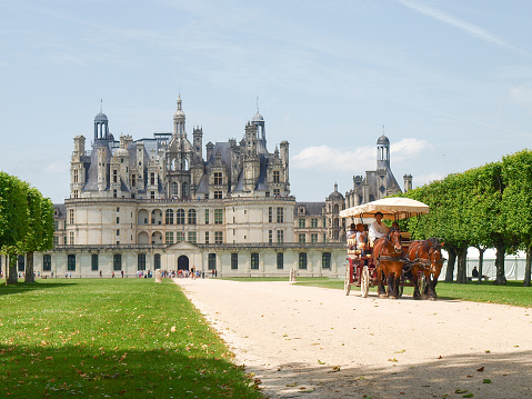 View of the castle garden and town Langeais. Loire Valley France.