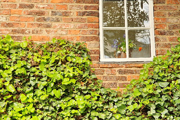 istock Cooks' Cottage in Melbourne botanic garden 511388795