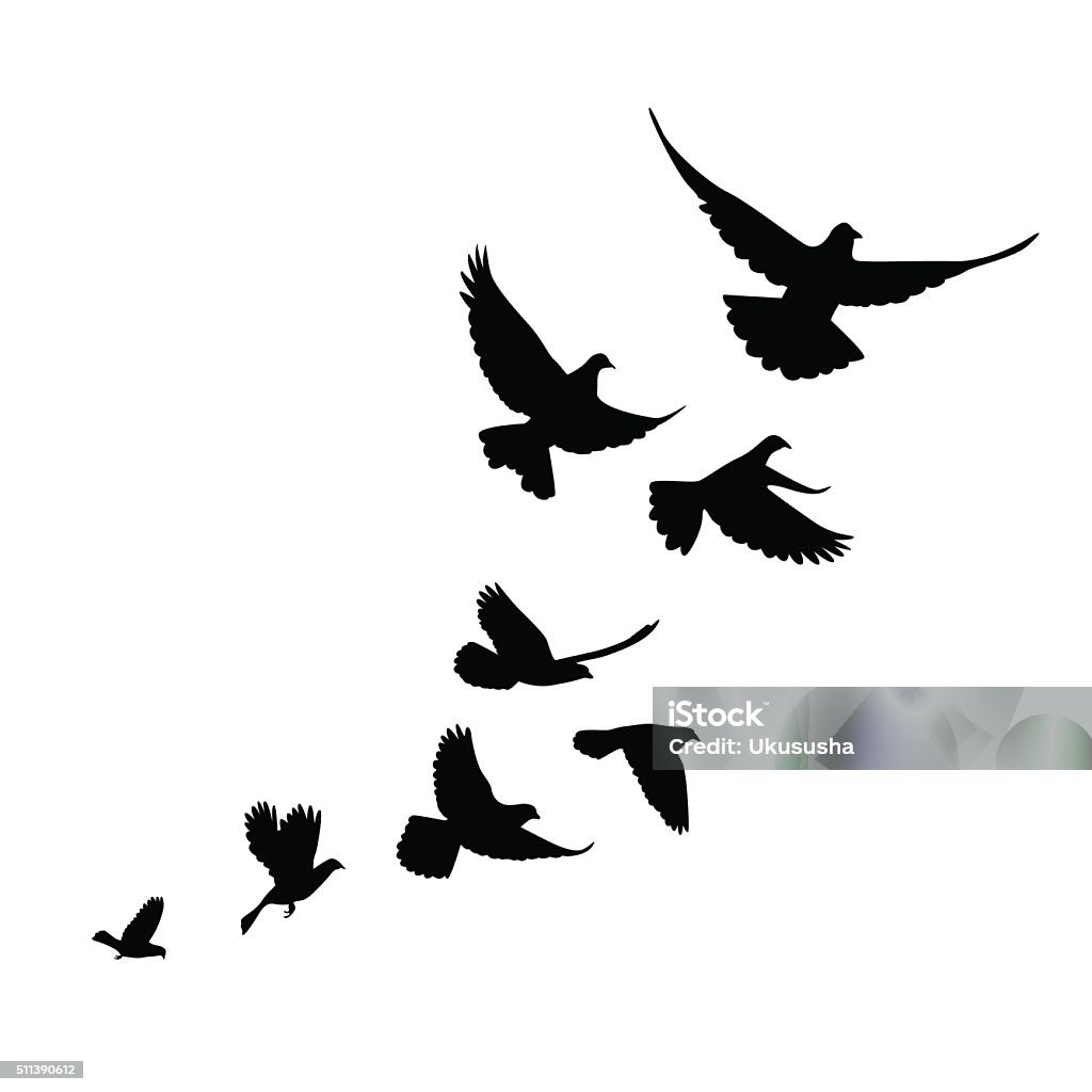 flock of birds (pigeons) go up. Black silhouette on a white background. Dove - Bird stock vector