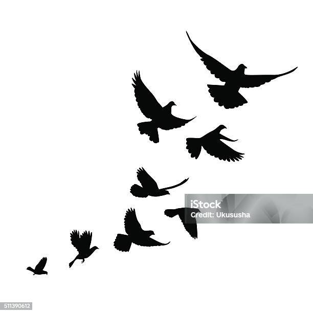 Flock Of Birds Go Up Stock Illustration - Download Image Now - Dove - Bird, Flying, Bird