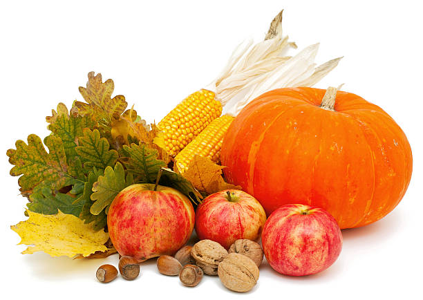 istock autumn fruits and vegetables 511391232