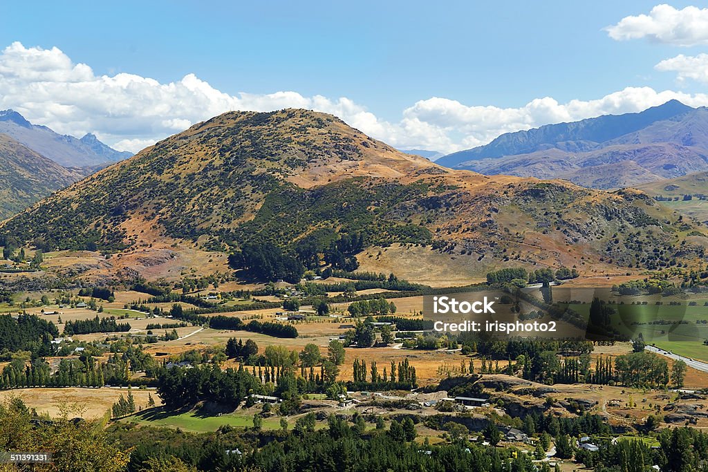 rural landscape in New Zealand picturesque rural landscape on a background of mountains in New Zealand Agricultural Field Stock Photo