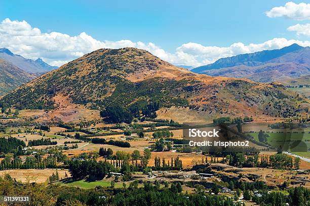 Rural Landscape In New Zealand Stock Photo - Download Image Now - Agricultural Field, Agriculture, Beauty In Nature