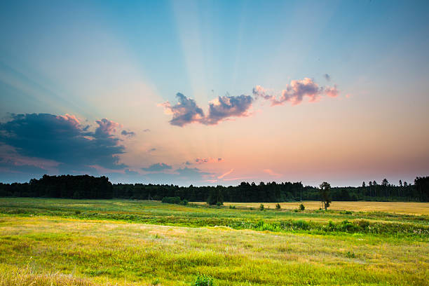 istock The sun's rays on the background of the morning 511392708