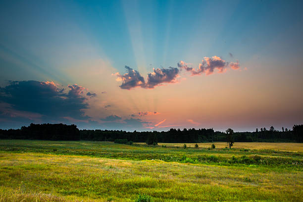 istock The sun's rays on the background of the morning 511392772