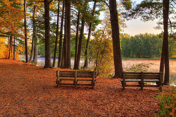 istock Colorful scenic Landscape in HDR 511393347