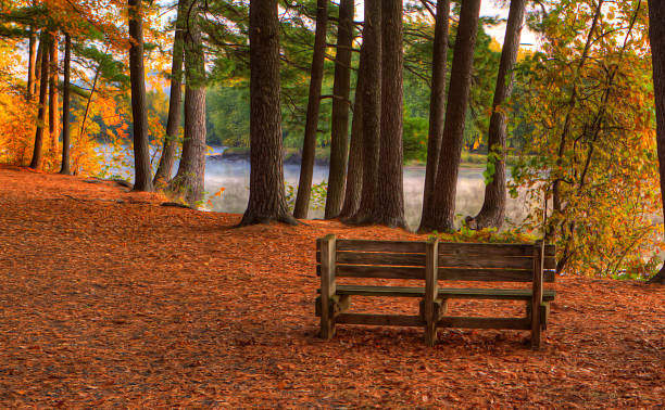 istock Colorful scenic Landscape in HDR soft focus 511393349