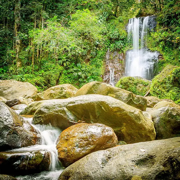 Photo of Waterfall in the forest.