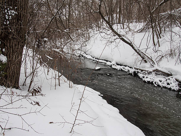 istock River and woods in Winter 511435847