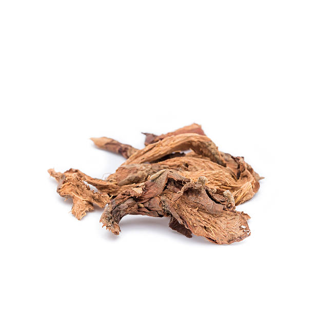 istock Dried Herbs,Homalomena aromatica (Roxb. & Sims) Schott,Araceae 511437893
