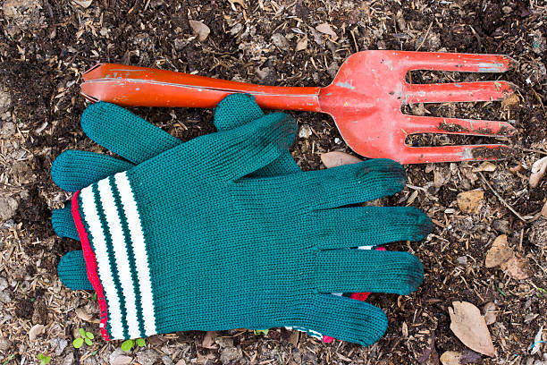 istock Red fork and green gloves in the garden 511441525