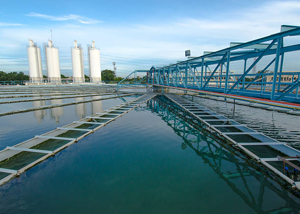 istock The Metropolitan Waterworks Authority Thailand 511442351