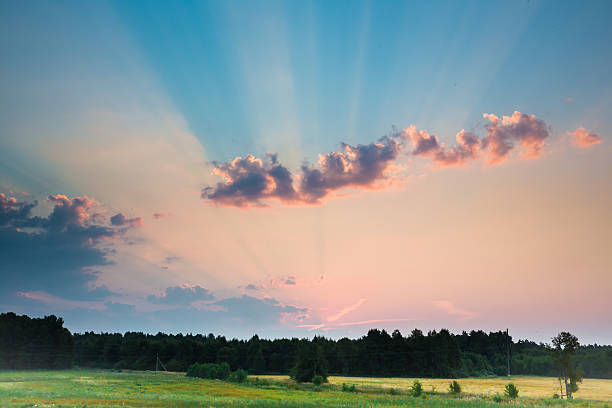 istock The sun's rays on the background of the morning 511456770