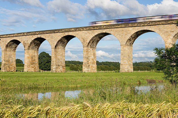 The Arthington Viaduct, North Yorkshire The Arthington Viaduct, North Yorkshire wharfe river photos stock pictures, royalty-free photos & images