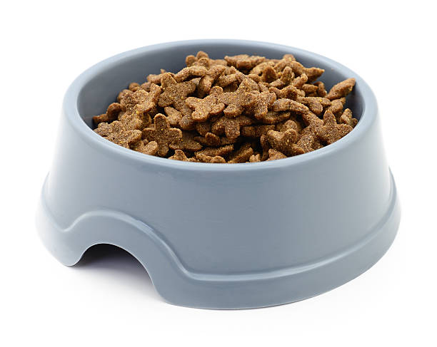 istock Dry cat food in bowl. 511457502