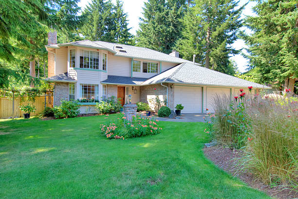 istock Beautiful yard filled with greenery and flowers. 511458352